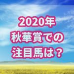 秋華賞【2020年】で勝つ!!過去データから優勝できる馬は?