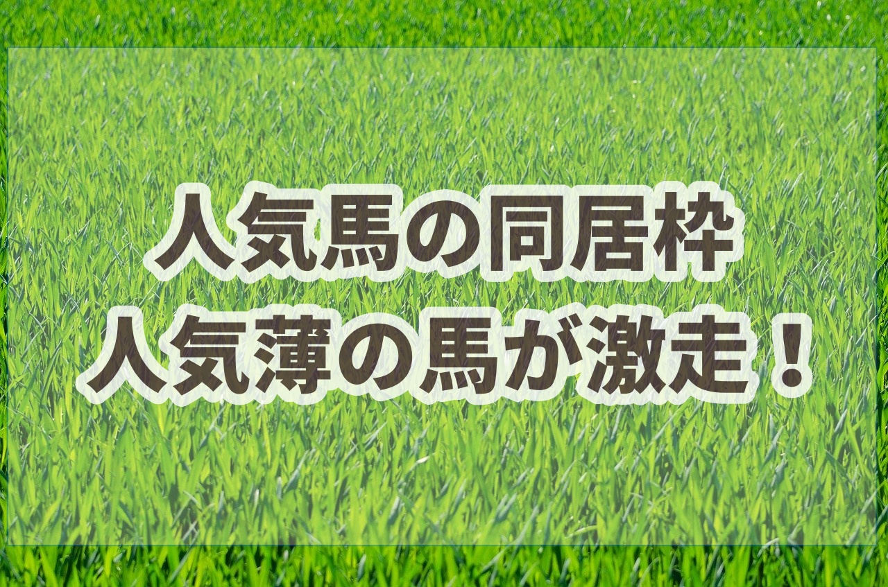 競馬で1番人気同居枠の人気薄の激走が起こりうる可能性 サラリーマンが競馬で毎月5万円お小遣いを稼ぐブログ