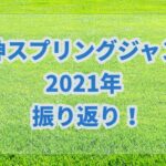 阪神スプリングジャンプ【2021年】振り返り!!オッズからは荒れないレースだった