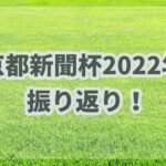京都新聞杯【2022年】振り返り!!複勝オッズ異常馬が見抜ければ楽勝の馬券!!