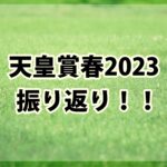 天皇賞春【2023年】振り返り!!オッズ断層馬狙いの激走オッズ!!