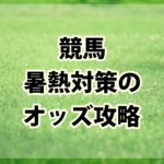 競馬暑熱対策でもオッズを見るべき時間は変わらず!!穴馬券で好配当!!